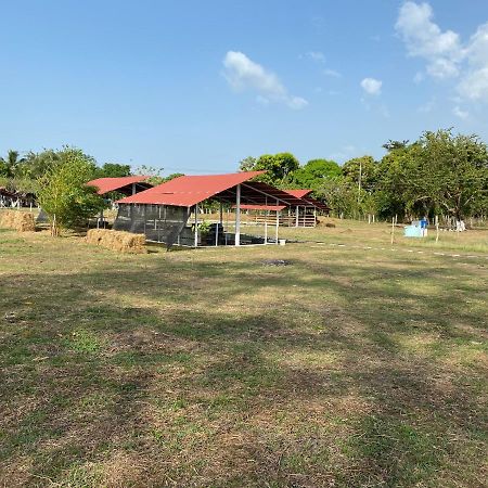 Hotel - Granja De Animales San Basilio De Palenque San Basilio del Palenque Екстериор снимка