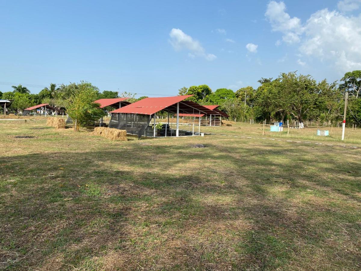Hotel - Granja De Animales San Basilio De Palenque San Basilio del Palenque Екстериор снимка