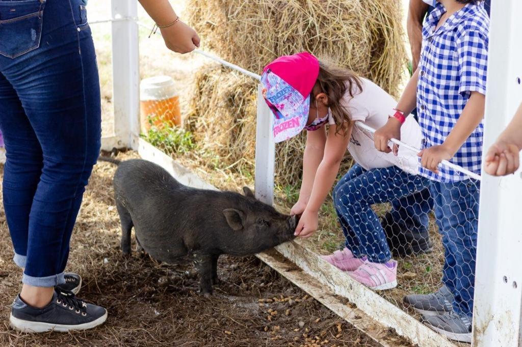 Hotel - Granja De Animales San Basilio De Palenque San Basilio del Palenque Екстериор снимка