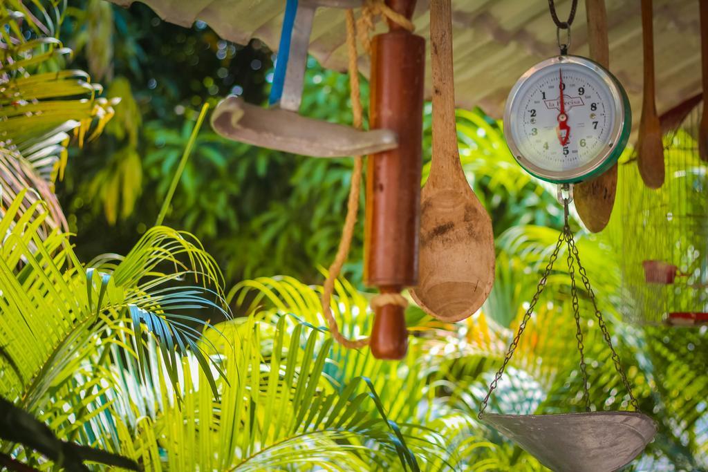 Hotel - Granja De Animales San Basilio De Palenque San Basilio del Palenque Екстериор снимка